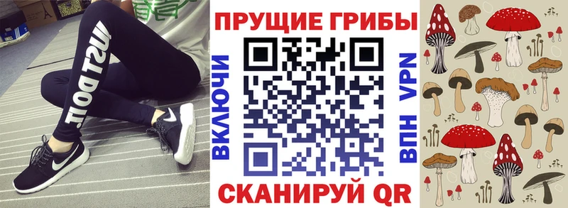 Галлюциногенные грибы Psilocybine cubensis  это клад  Татарск 